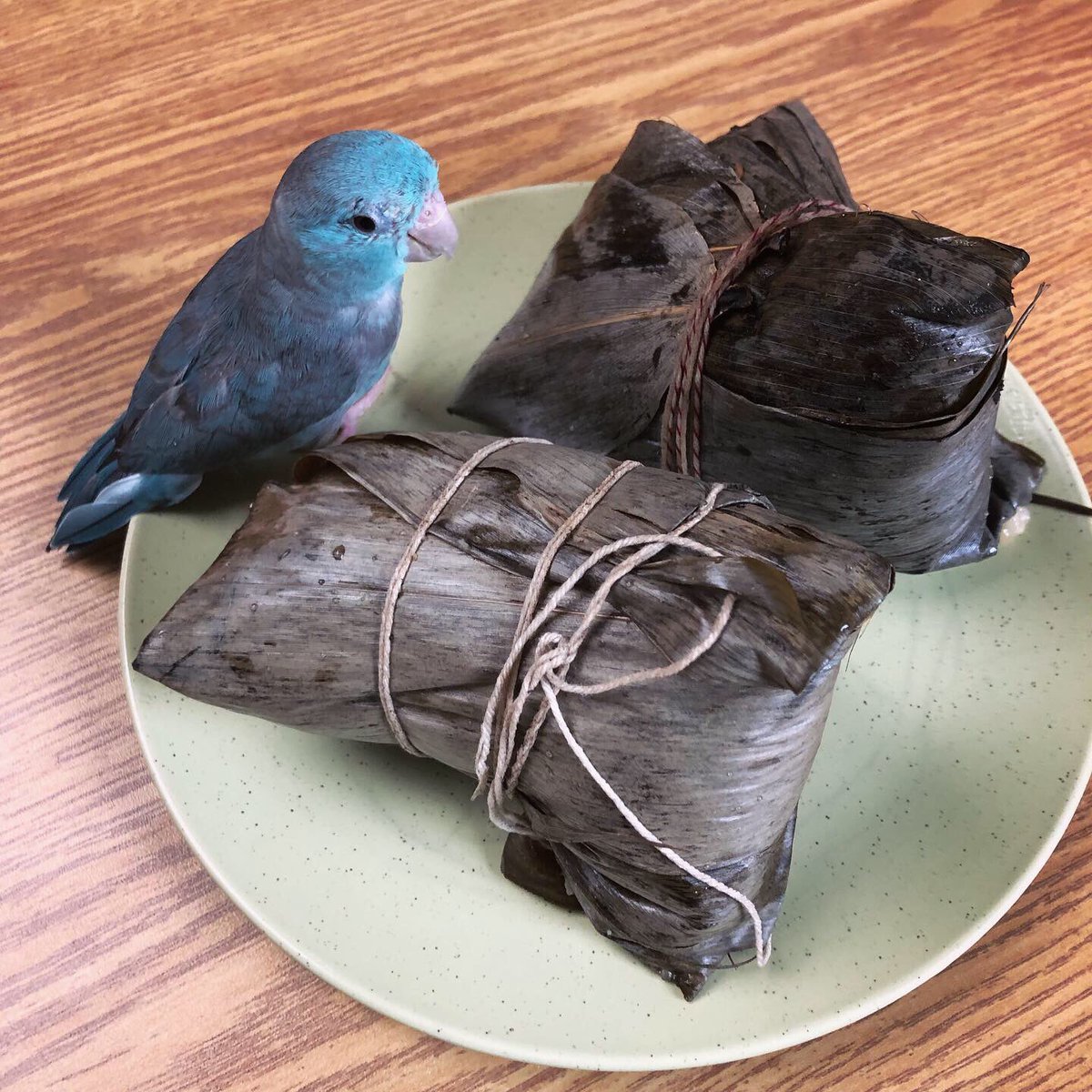 imparrotor's tweet photo. 🐉 🚣‍♀️ Eat All The Zongzi Day! #端午節 https://t.co/9n9DPwn5XJ
