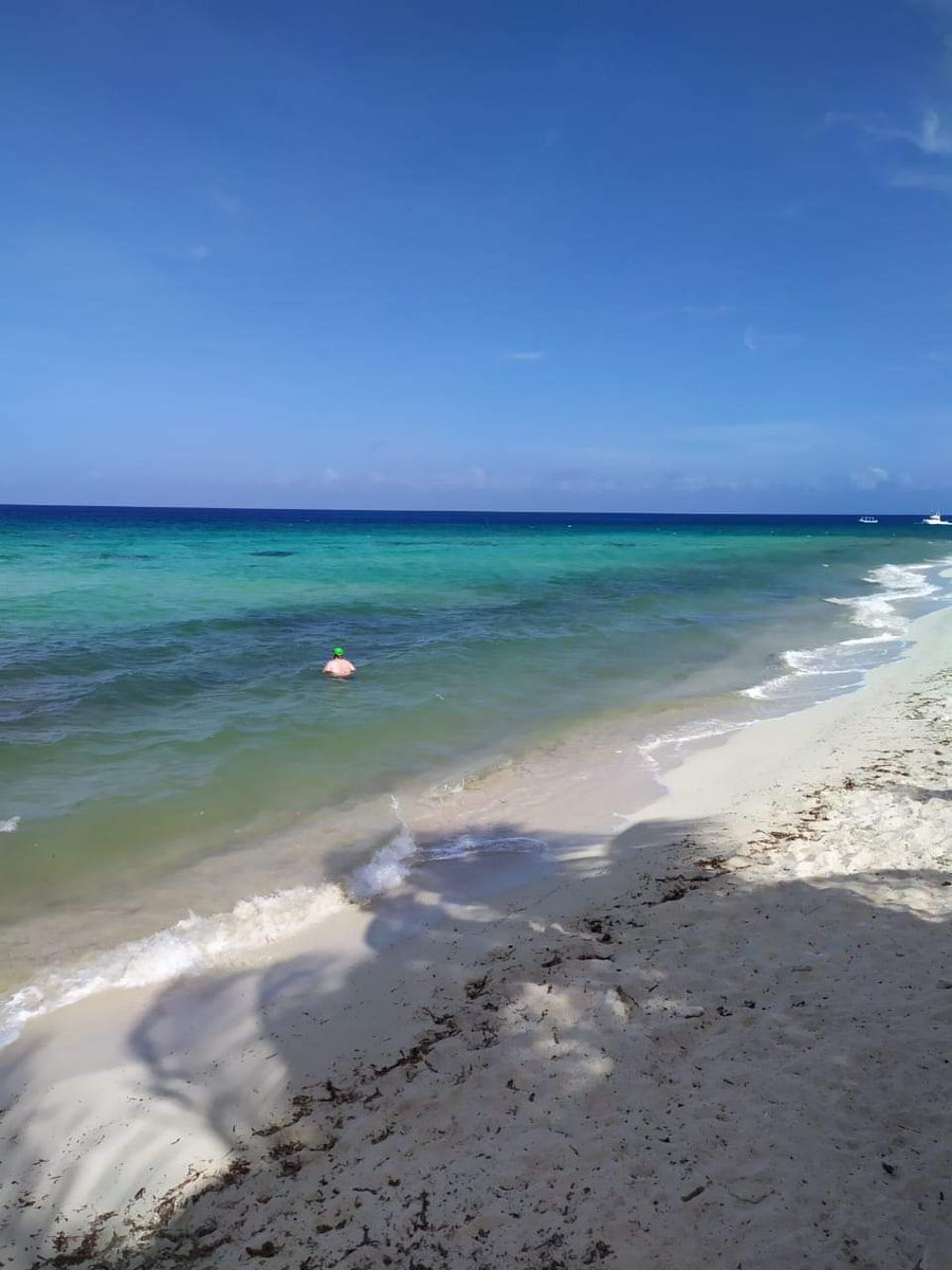citlabello's tweet photo. @PalancarBeach hoy sin sargazo  #COZUMEL https://t.co/LtJ3eiJcPH