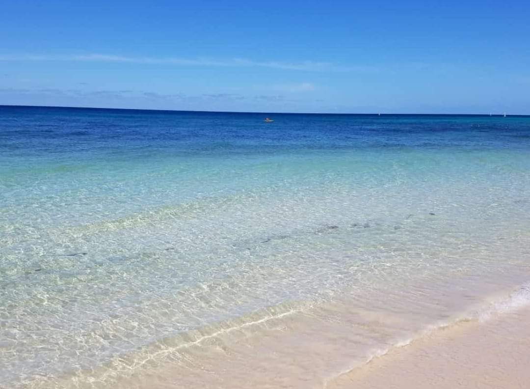 citlabello's tweet photo. Cocoquiki #hoy #islacozumel #COZUMEL #sinsargazo https://t.co/7AO5ouiky8