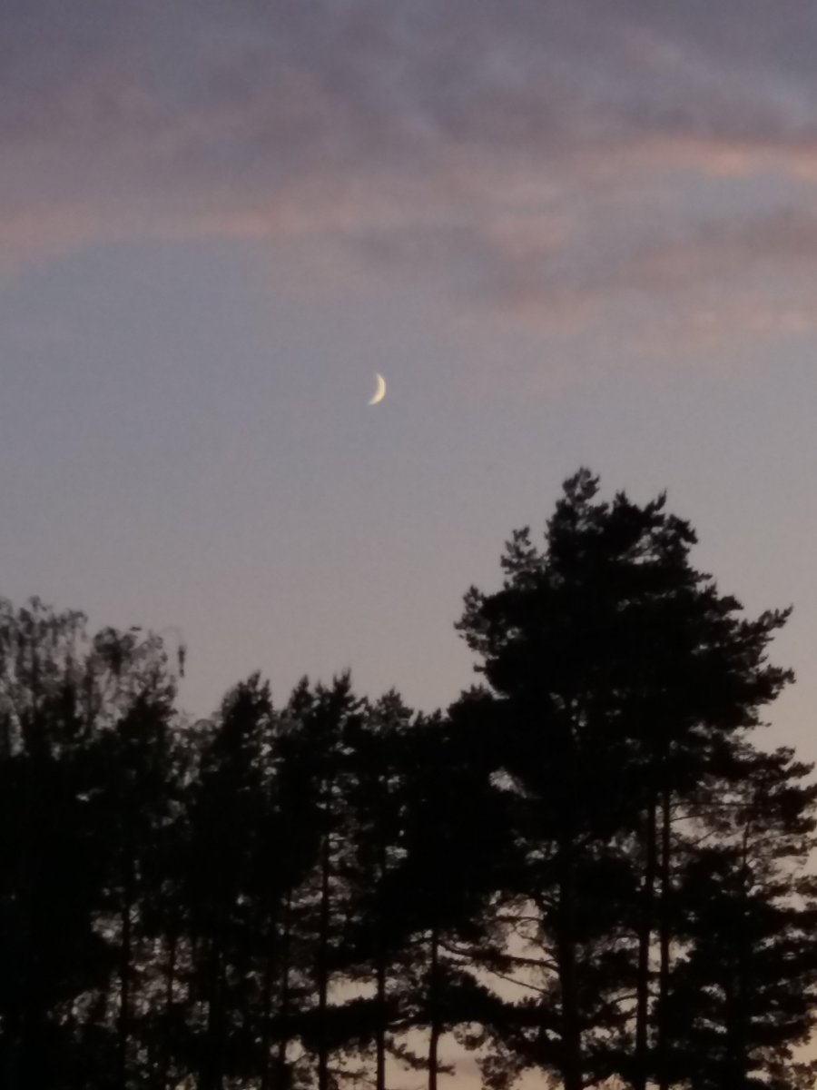 MaipuMaire's tweet photo. Ihana hikinen iltayölenkki🏃‍♀️🍃🌅
2h vierähti🙄🍃
Värejä taivaalla joka lähtöön🎨
Saimaa huuhteli mielen💙🙋‍♀️
Nyt kutsuu unitähti💤🌟 @IrmeliKaija @PulmuM @JohannaKukka @annelitiainen1 @AnneHirvonen1 @ArnkilKatriina @TiinaAiraksinen @maija_ku @Discobse https://t.co/4W0hryYFaX