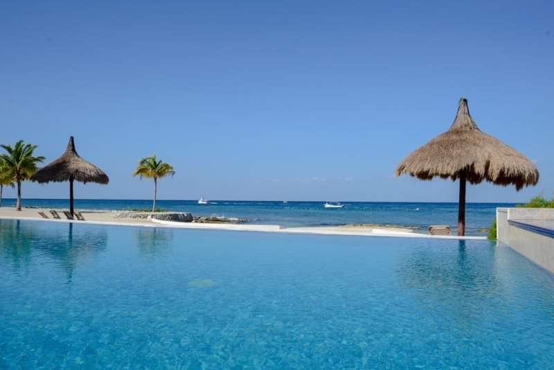 citlabello's tweet photo. #COZUMEL #islaCozumel #Sinsargazo https://t.co/PZYJ4WPRI0