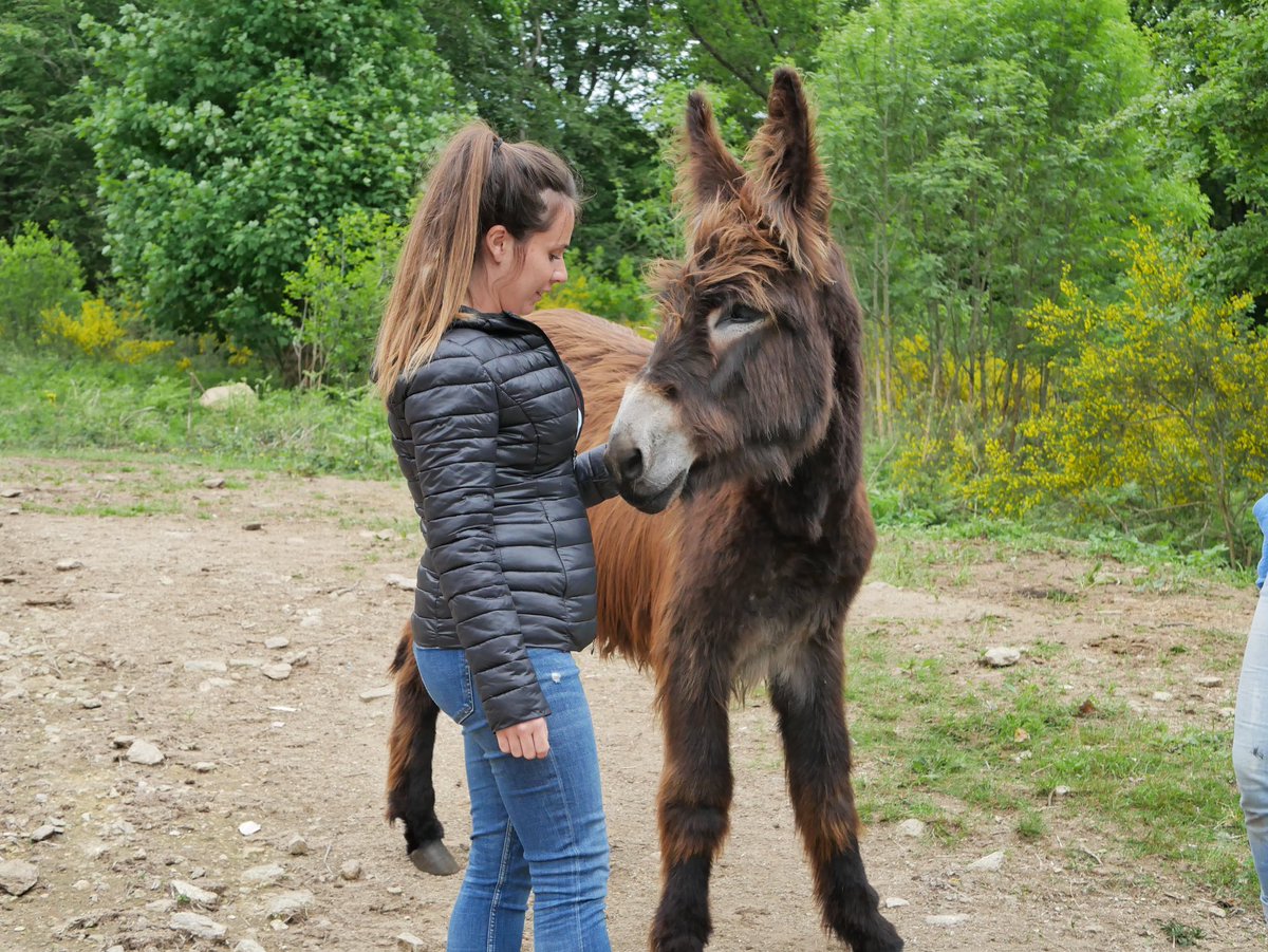 Culturez-vous tweet media