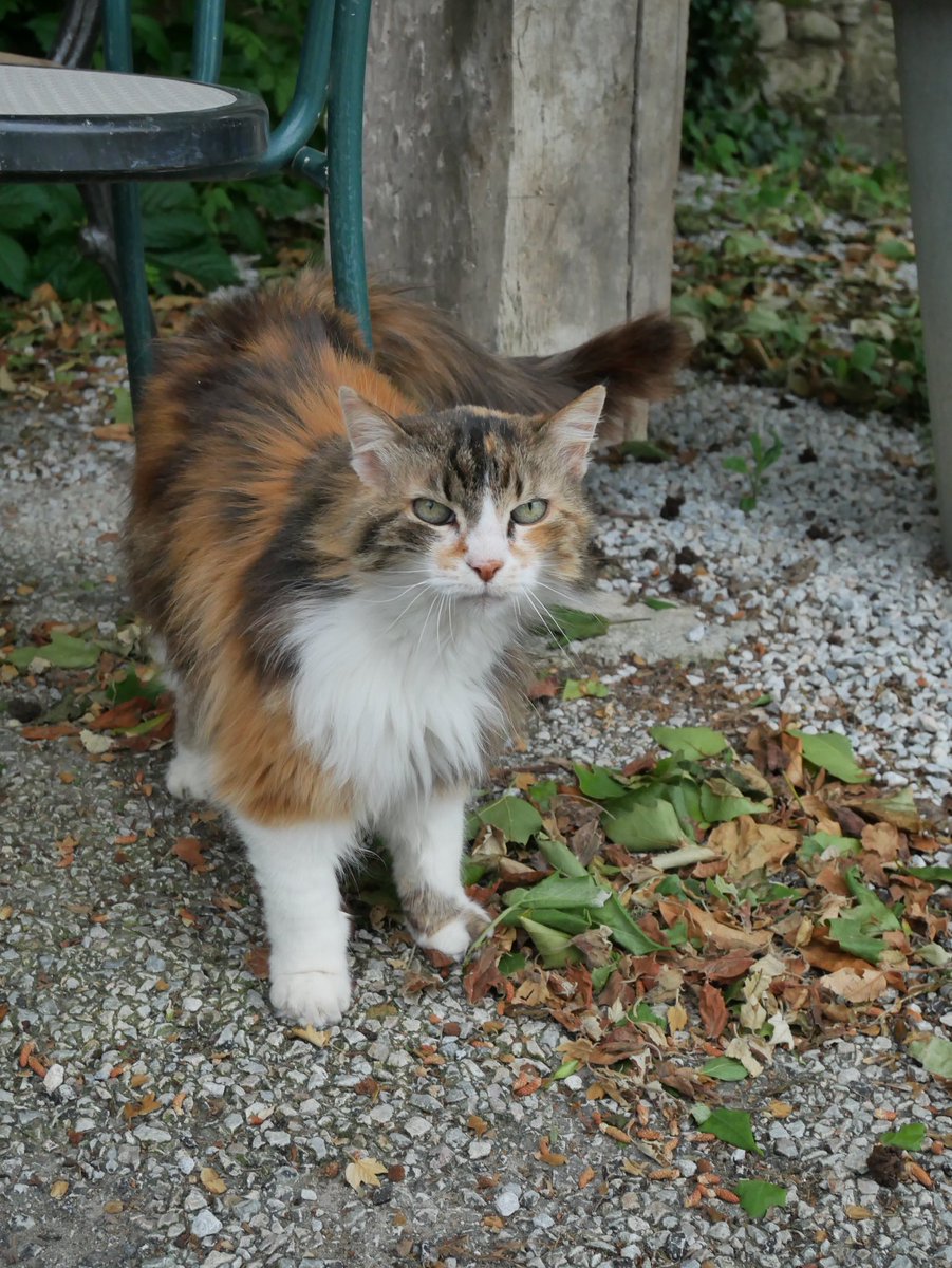 Culturez-vous tweet media