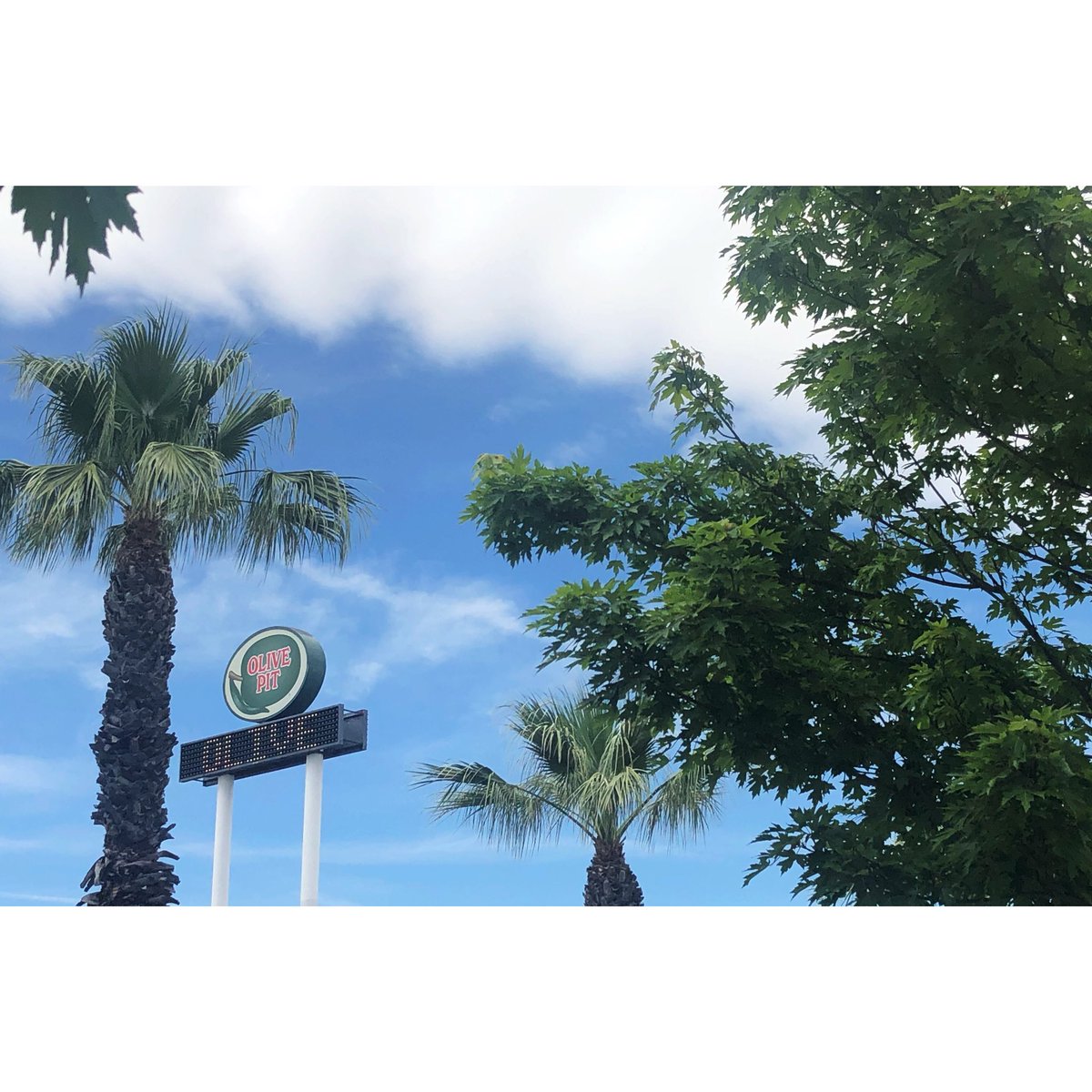 OlivePit1967's tweet photo. Happy Friday! It’s a beautiful day at the Olive Pit ☀️ We hope everyone has a great weekend. 
Also stay tuned; OP Fam Friday’s will be back next week!
#olivepit #theolivepit https://t.co/uM7hEdKLx1