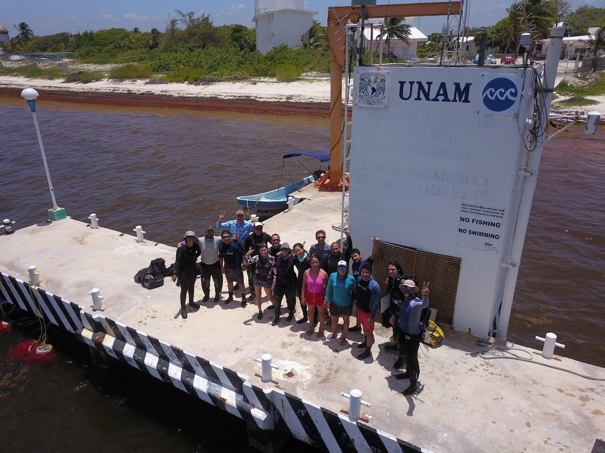 InesLange9's tweet photo. Last day of a great workshop teaching scientists and marine park managers how to use our #ReefBudget method. With Chris Perry (#UniofExeter) Derek Manzello (#NOAA) and @LAlvarezFilip and his awesome BARCO lab (#UNAM) https://t.co/7tiGtt8SHn