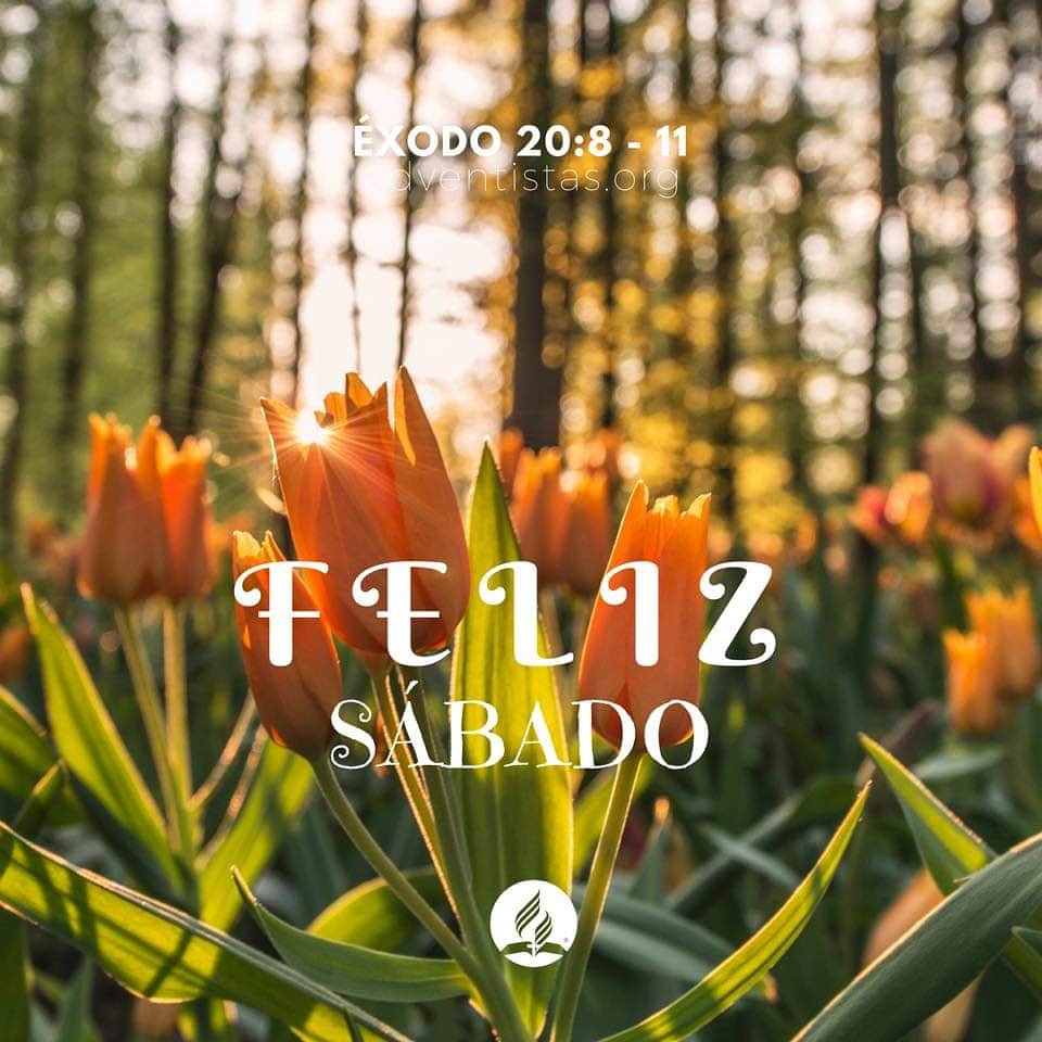 AdventistasMOP's tweet photo. "Nuestro Padre celestial desea, por medio de la observancia del sábado, conservar entre los hombres el conocimiento de sí mismo. Desea que el sábado dirija nuestra mente a él como el verdadero Dios viviente, y que por conocerle tengamos vida y paz". {6TI, 351.1} #SábadoFeliz🙏😀 https://t.co/Wouq3Mm09s