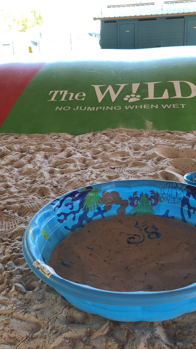 amanda_ames22's tweet photo. Summer time intern. Still getting sand for @_karalynrose_ https://t.co/x0X2HycVZY
