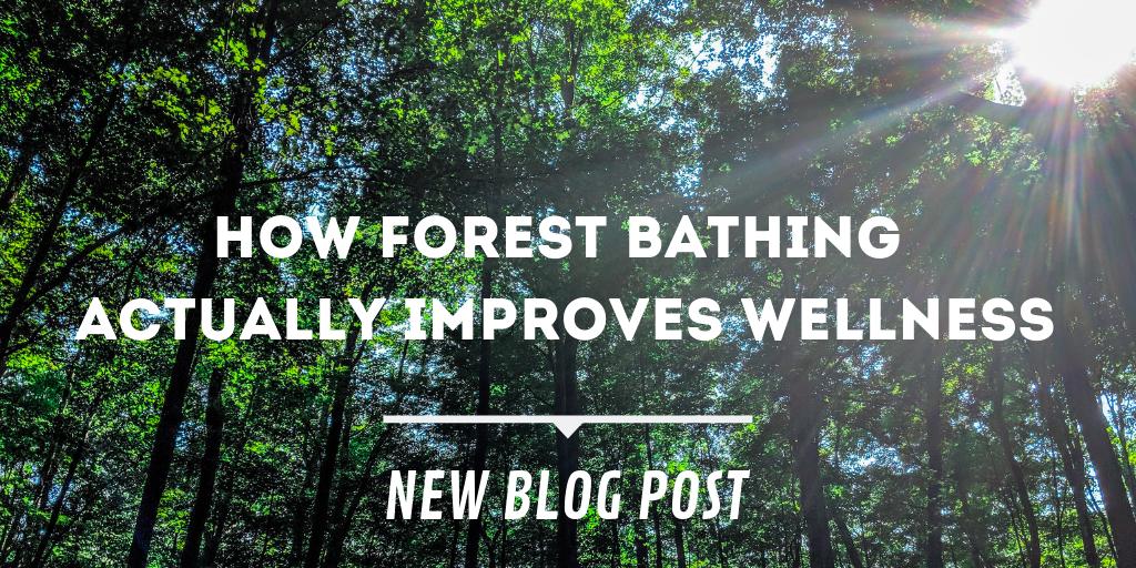 MidultReboot's tweet photo. How Forest Bathing Actually Improves Wellness
NEW BLOG POST ===> https://t.co/68zJpSghio
#ForestBathing #ForestFriday #foresthealing #shinrinyoku #wellness #Mindfulness #mindfullness #stressmanagement #stressfree #anxiety #HealthyLiving #midlife #SMRTCCE https://t.co/y5RyEWuLOp