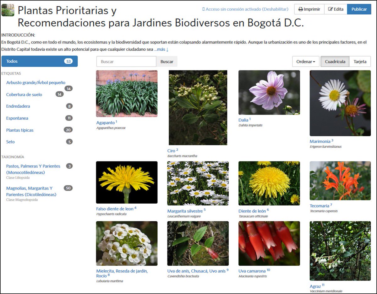 GrpEcomunitario's tweet photo. Ayudemos a los polinizadores con esta nueva guía Plantas Prioritarias y Recomendaciones para Jardines Biodiversos en Bogotá! Potencialicemos miles de M2 de área verdes en el D.C, beneficiando nuestra biodiversidad! https://t.co/zFpZBnjvM9 #CadaM2Cuenta 1/2 https://t.co/oj8z72EqMY