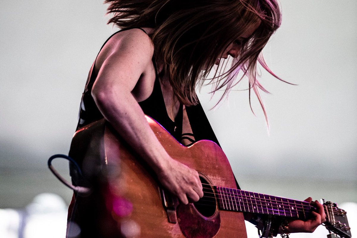 Folk 'N Bluegrass tweet media