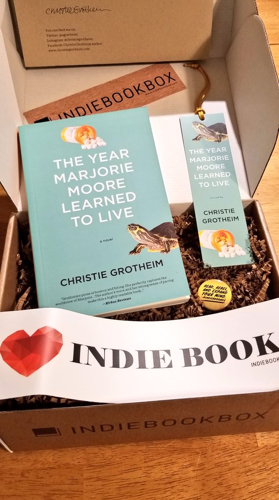 DawnHosmer7's tweet photo. Look what came today! My @TheIndieBookBox! This book looks so good @cgrotheim ! I wish I could take a vacation and read for the next 6 months.
#WritingCommunity 
#indiebooksbeseen https://t.co/zobmFRQ19U