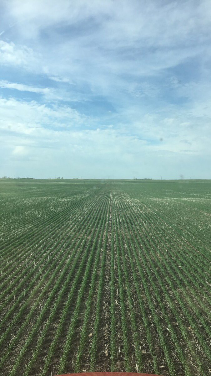 taylormealy's tweet photo. @bigbushelsag #shithawk https://t.co/nL5Wj22XDr