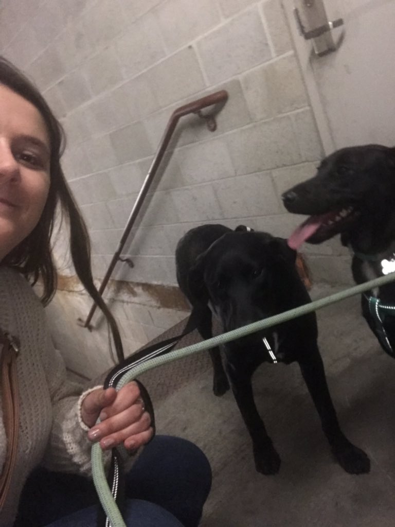 Meghandy7's tweet photo. I am locked in a stairwell at prov mall parking garage rn on the phone w/ security who can’t find me lmao my poor pups!!! https://t.co/fhl7CBTrQm
