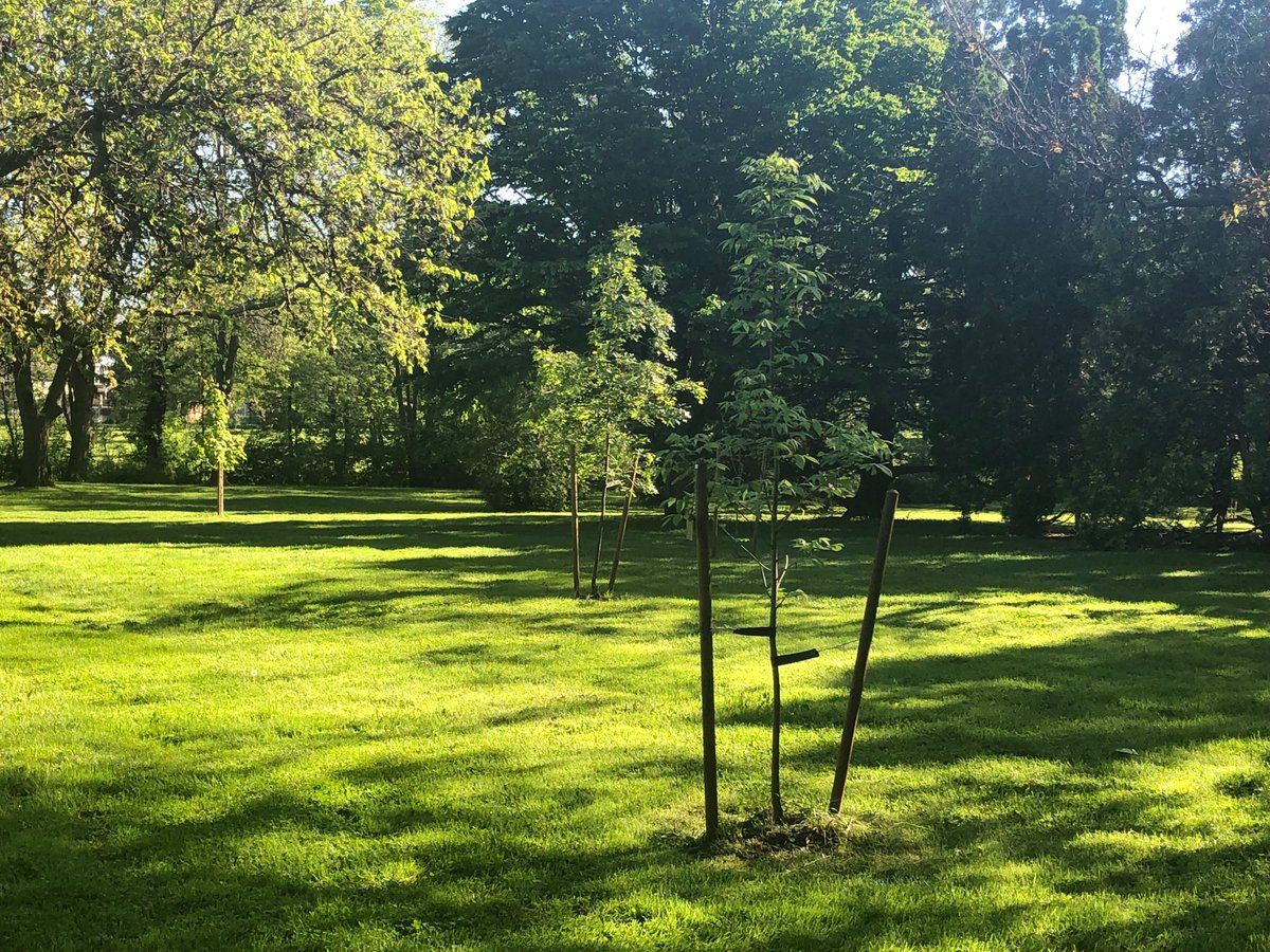 Bruce Williamson tweet media