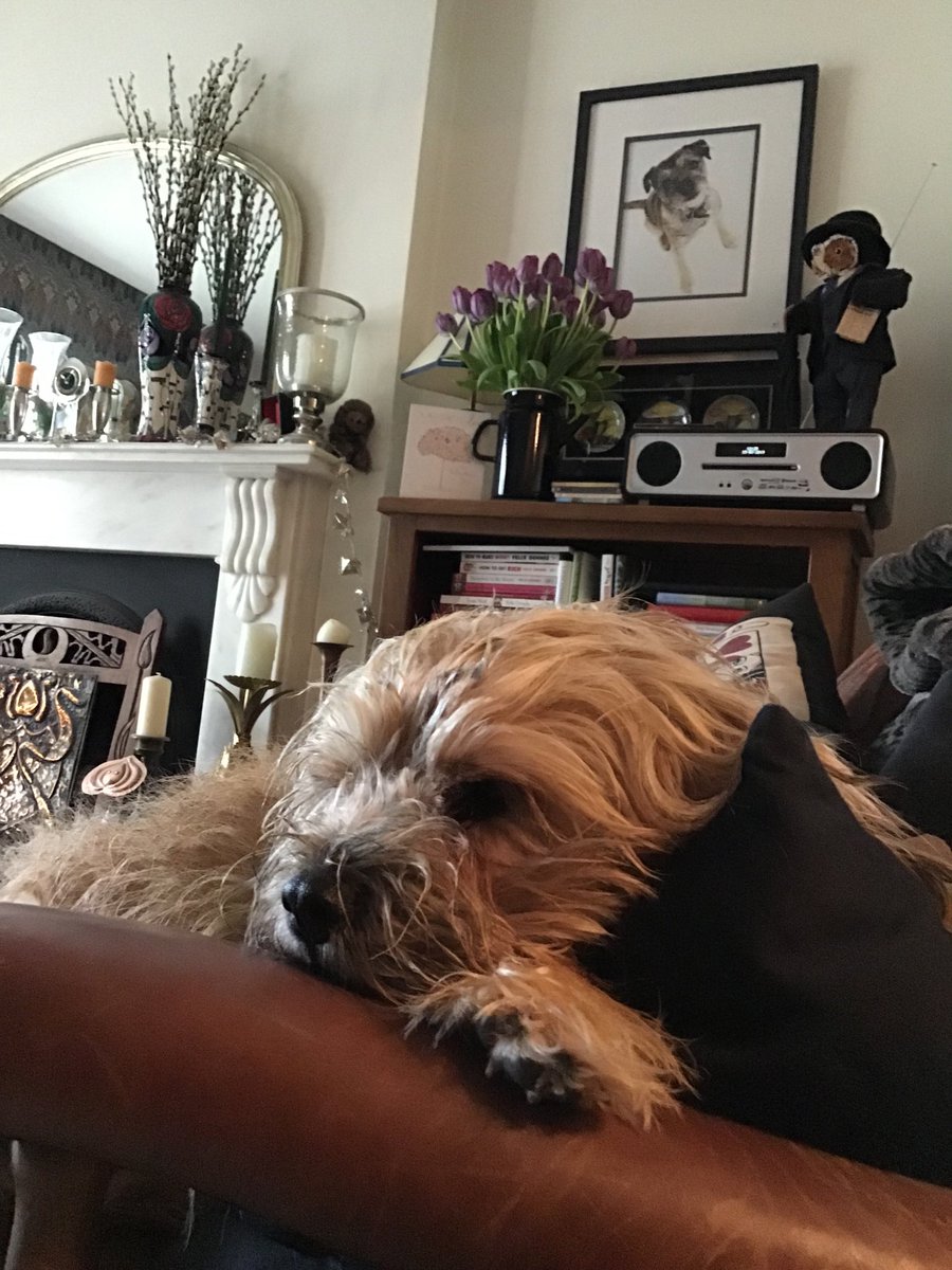 Lord Alfred’s Diary tweet media