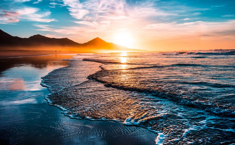 WataliiSafaris's tweet image. we join thethe world in celebrating #WorldOceansDay. we do this to remind us of the major role the oceans have in everyday life. 
TIP: Learn – discover the wealth and diversity of the oceans creatures and how our daily actions affect them.
find out more: worldoceansday.org