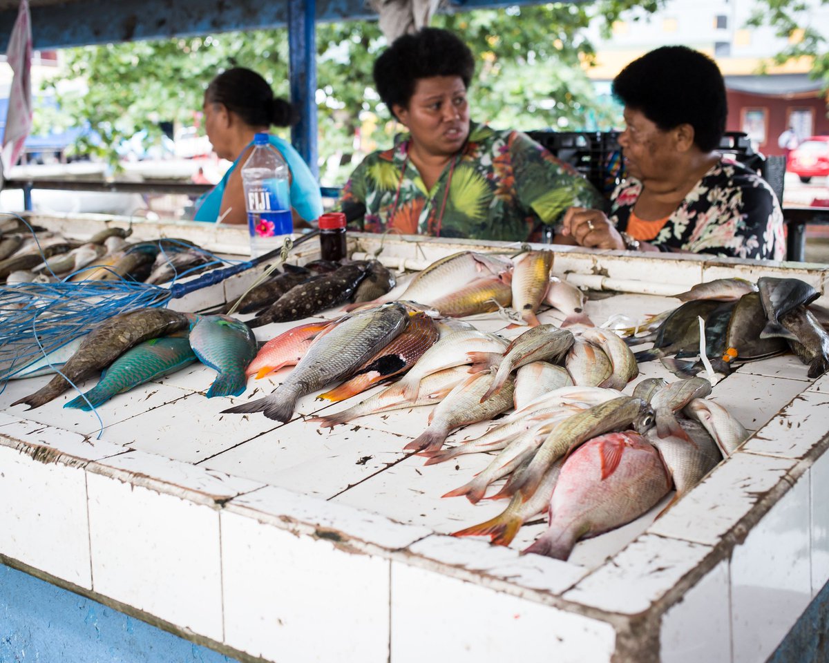 wcsfiji's tweet photo. Gender and Social Inclusion in Fisheries Management
Women are the primary protein and/or income supporter for their families
#WorldOceansDay https://t.co/KTesLFvu4q https://t.co/qQpcl0N9xs