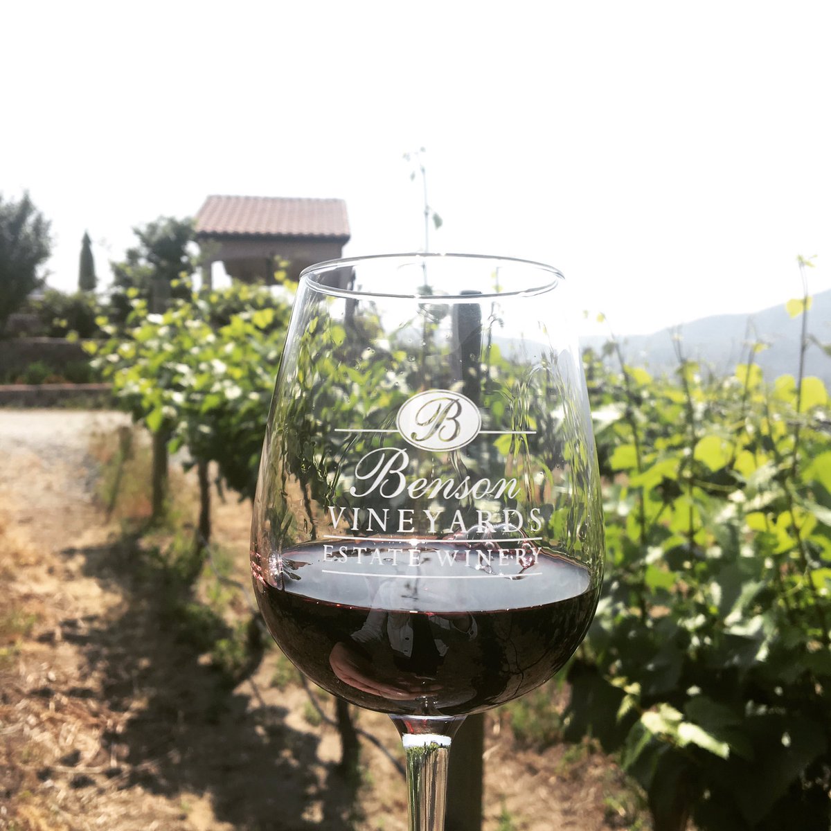 2 LIVE CONCERTS TOMORROW! You won’t want to miss out! First concert is from 1pm-4pm and the second concert is from 6pm-10pm! #bensonvineyards #lakechelan #wawine #pnw #wine #winery #music #concert #celebrate #redwine #redwinelover #washingtongrown #vineyard