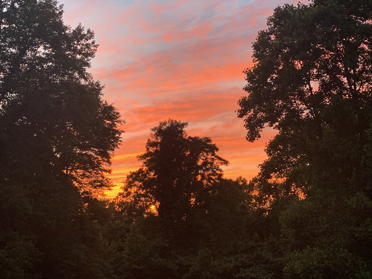 JrzyJoePiscopo's tweet photo. You catchin’ this #JerseySky ?
#Exit24 https://t.co/l2t4mxfNWW