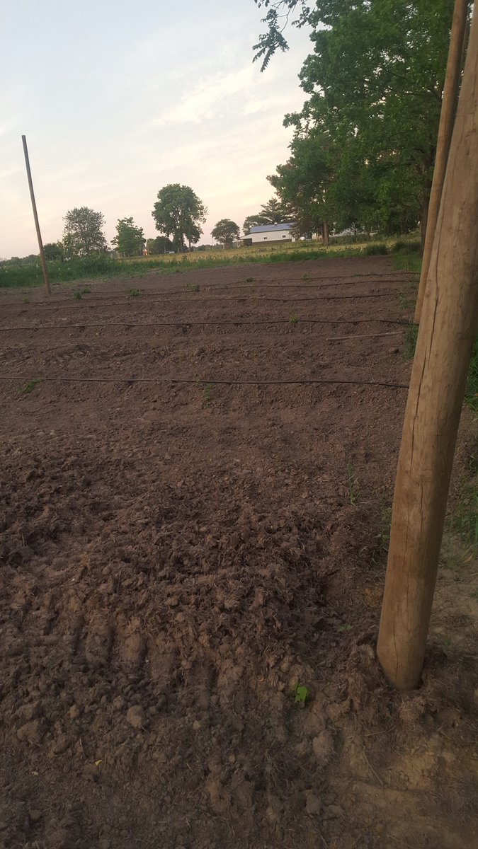 fieldofhops's tweet photo. Another day on the farm! https://t.co/CY3GrvVy53