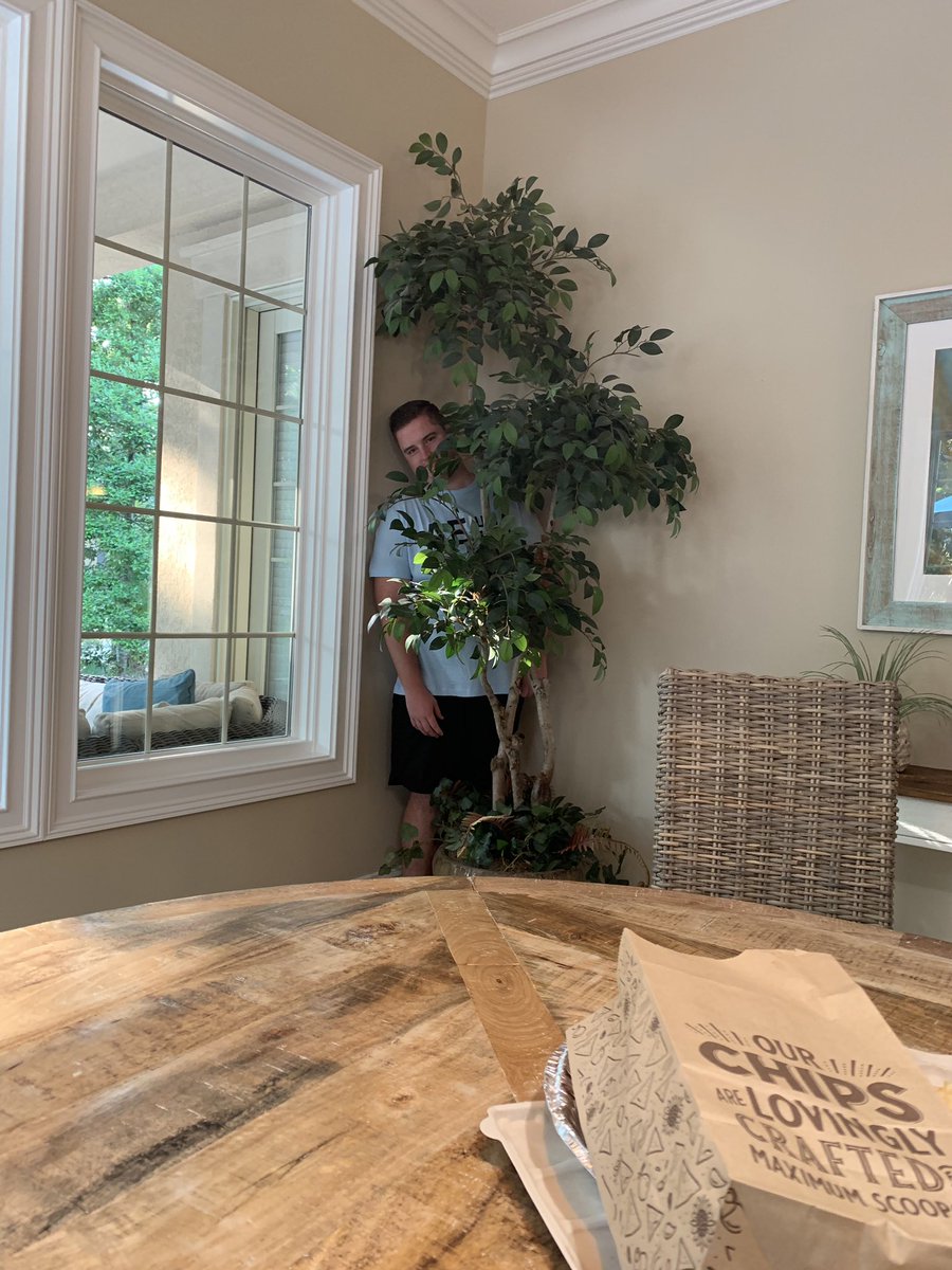 Noah Orme tweet media