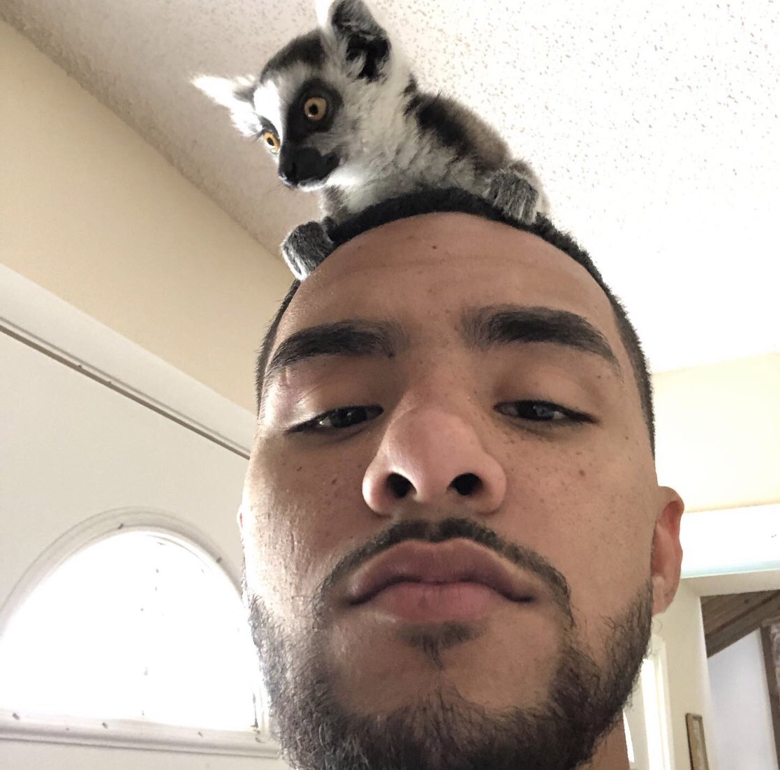 BrotherNature's tweet photo. Don’t talk to me or my son ever again https://t.co/L6RSJupEMn
