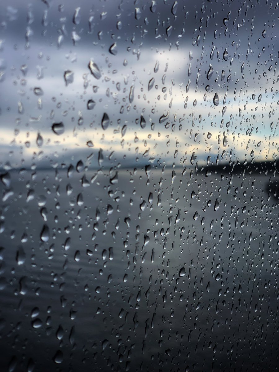 sindhu0's tweet photo. Mazhaye Mazhaye En mele vandhu vizhava vizhava ! โค๏ธ #seattlediaries #feelslikeblr https://t.co/LO7Pla1p9f