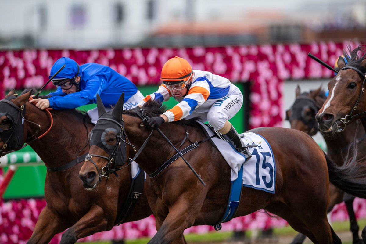 inglis_sales's tweet photo. Congratulations to the connections of Vinland, who broke a run of unlucky performances by claiming a first Stakes victory in today’s Listed The Wayne Wilson at Eagle Farm. He's a $340k #InglisPremier buy for his trainer @mcevoymitchell from @BlueGumFarm. https://t.co/MguFkVjvkP
