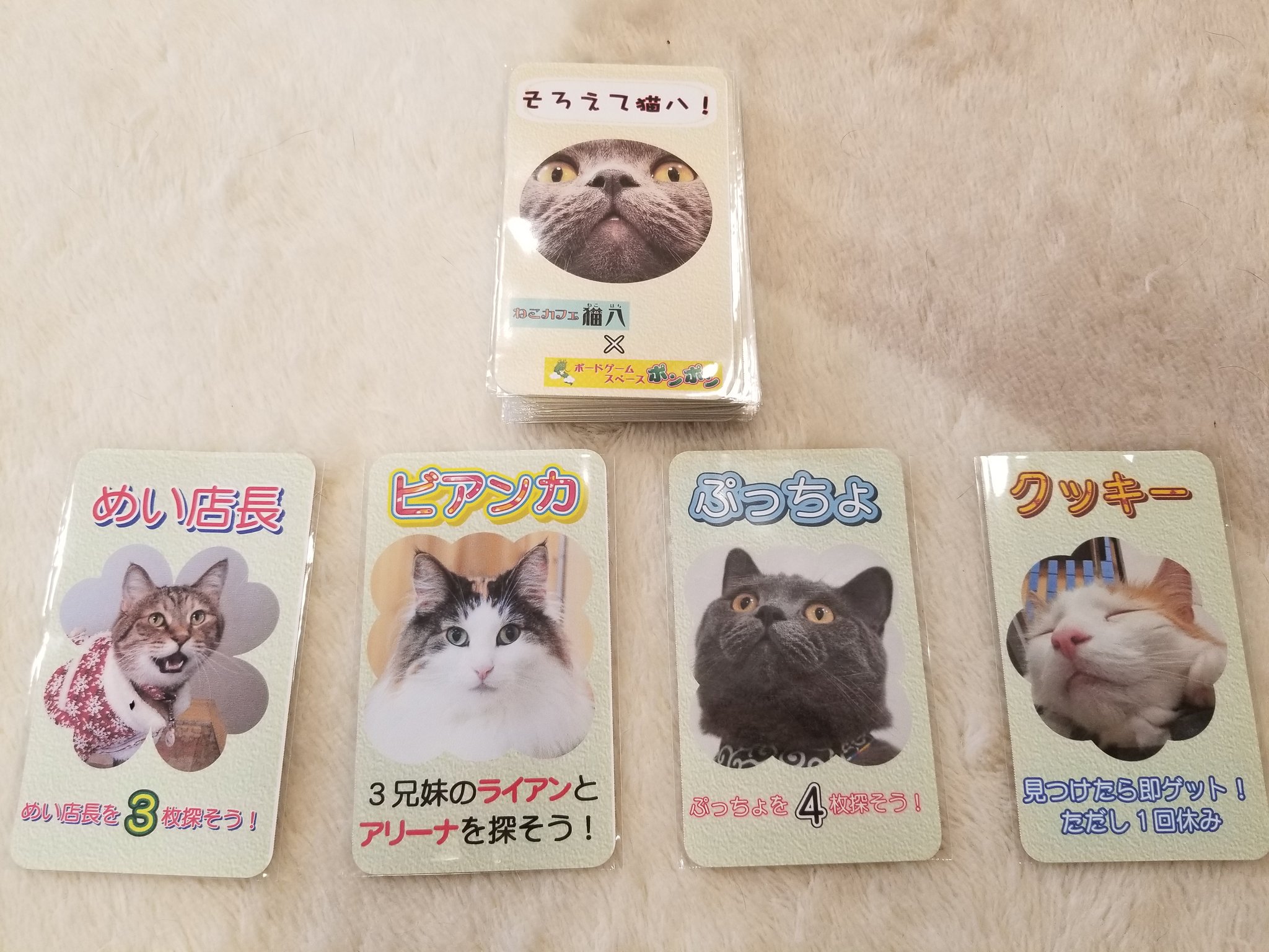 ねこカフェ 猫八 A Twitter ねこカフェ猫八 と ボードゲームスペース ポンポン の コラボカードゲーム そろえて猫八 めくったカードをそろえるだけ ねこカフェ内にありますので お楽しみくださ い 青森 八戸 ねこカフェ 猫カフェ 猫八 猫 ねこ