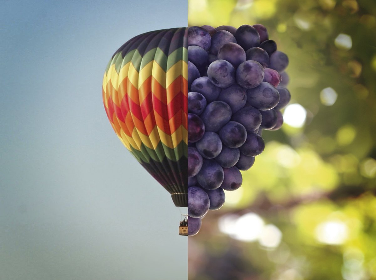 Have you planned your Willamette Valley vacation yet? Get a new perspective from above the wineries and vineyards this summer. #VisitWillametteValley
bit.ly/2I9CYo4