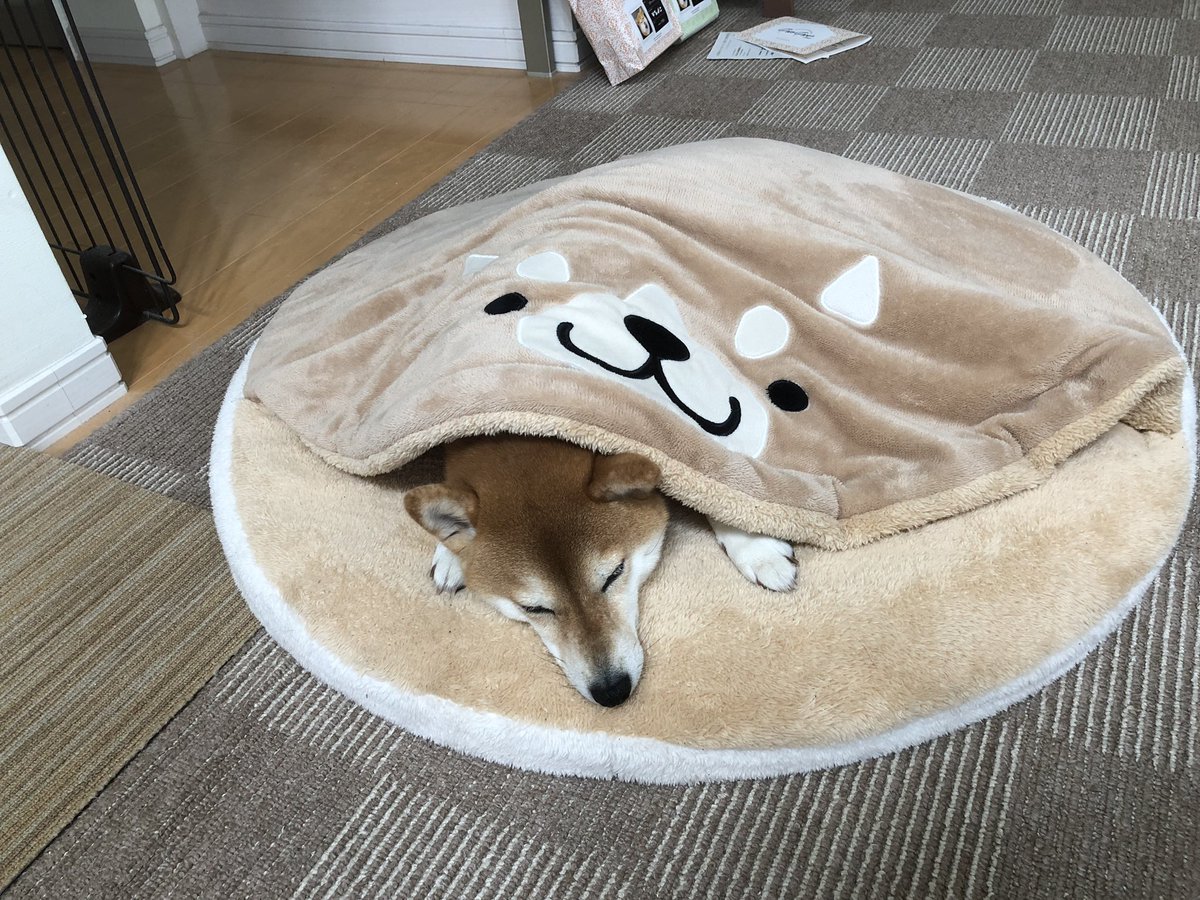 しまどら しまどら