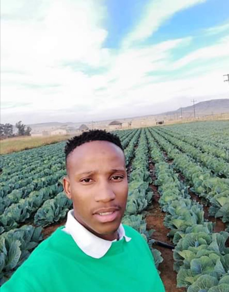 ThembaRumbu's tweet photo. This is Musa Sthole from Bergville a farmer who needs your support.
Bergville and Ladysmith people please order his cabbage which cost R7,50 each. You collect in Bergville. His number is 081 387 0906. The is enough for everyone. Spread the word👑✊🏿 https://t.co/Xa2HqJq1Jp