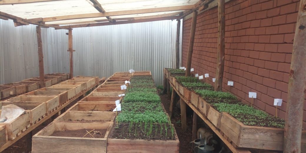 Thrive4Good's tweet image. #ShoutoutSaturday to our Garden Managers who spend many hours working on all of our beds at the Kitale Training Center. Check out the new seed starting area!

#thriving #growinghealth #green