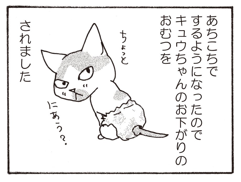 いくえみ綾のおしらせ Twitter પર 本日発売のフィール ヤング7月号に そろえてちょうだい 最新117話が掲載されています 今回は いくえみ家の春のお話 春といえば出会いと別れの季節 新しい病院の先生との出会い そして 作中から おむつ姿の可愛い