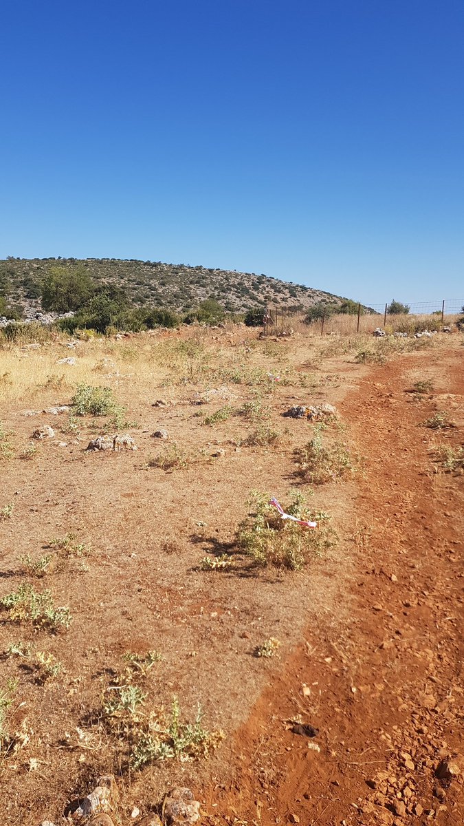 ostipotrail's tweet photo. Señalización ostippotrail https://t.co/izlX6AFhMJ