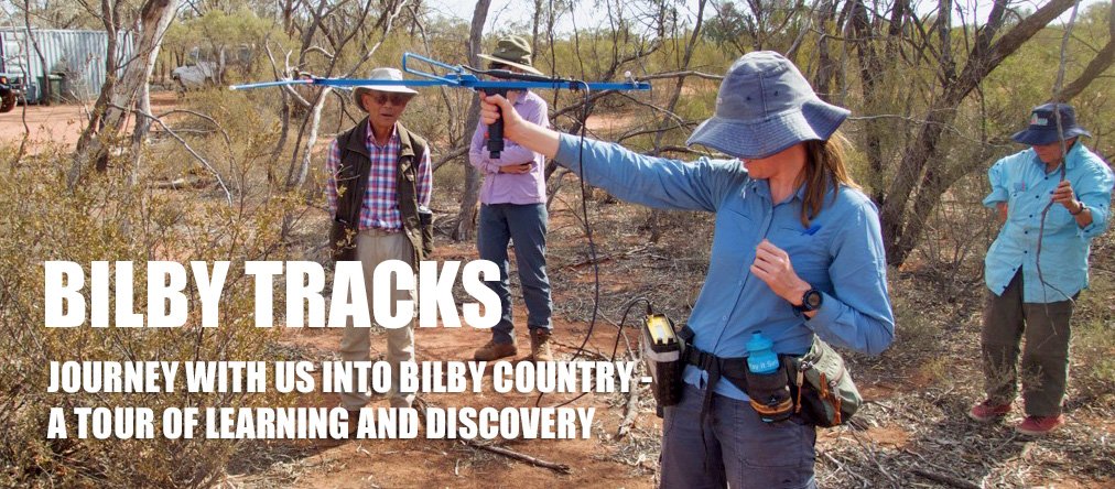 Save The Bilby Fund tweet media