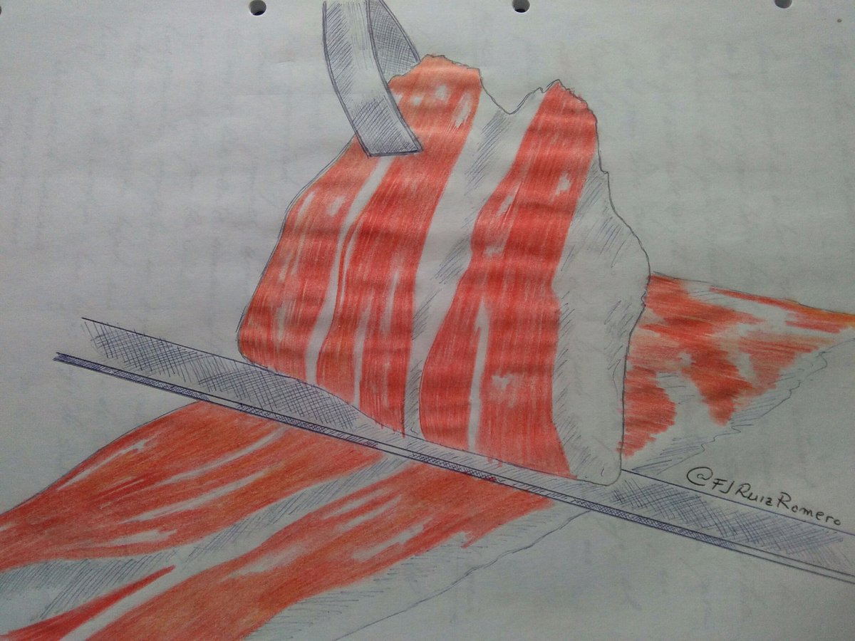 Francisco José Ruiz (@fjruizromero) on Twitter photo 