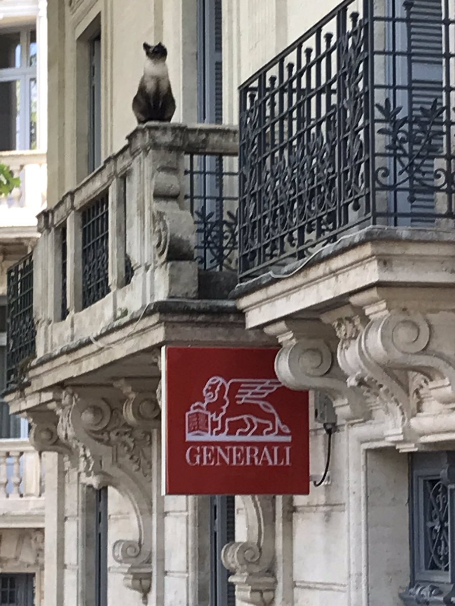 La fable du chat et du lion
