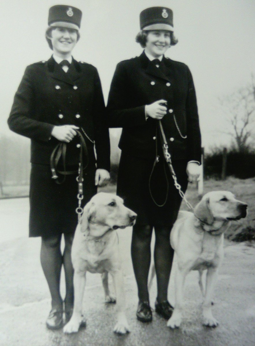 MPSHeritage's tweet photo. ... and the branches, the forerunners of today's @MetTaskforce. #Hartnell40 #policedogs #100YearsStrong #MetWomen100 https://t.co/6GBlMW0LZS