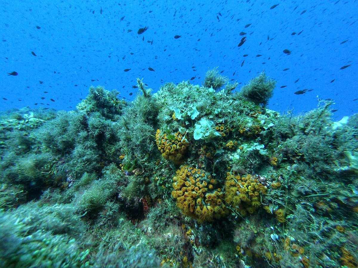 Take care of our Ocean! 🌊🔒💙 #WorldOceansDay 🦈#SaveourOcean 🐟#SaveTheOcean 🐬