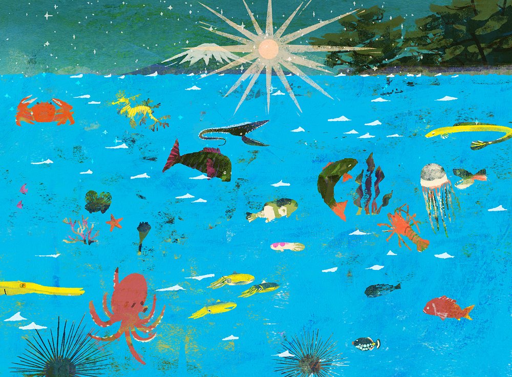 fish no humans coral sun traditional media octopus painting (medium)  illustration images