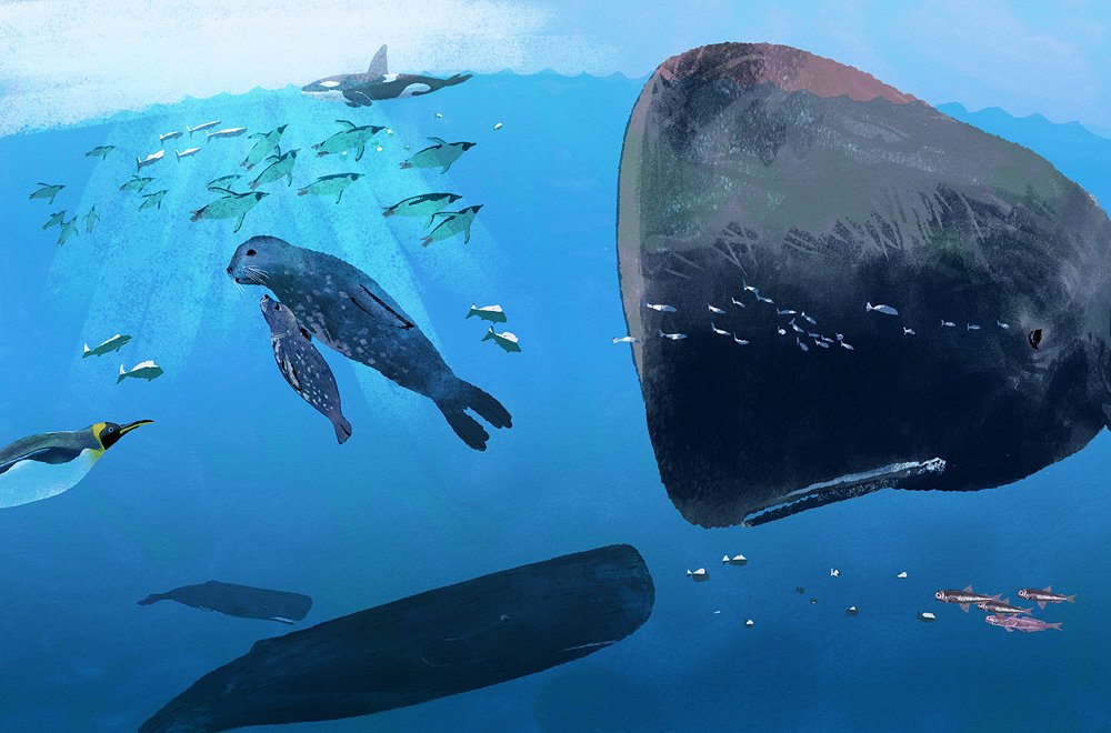 「#世界海洋デー #WorldOceansDay2019 」|木内達朗 Tatsuro Kiuchiのイラスト