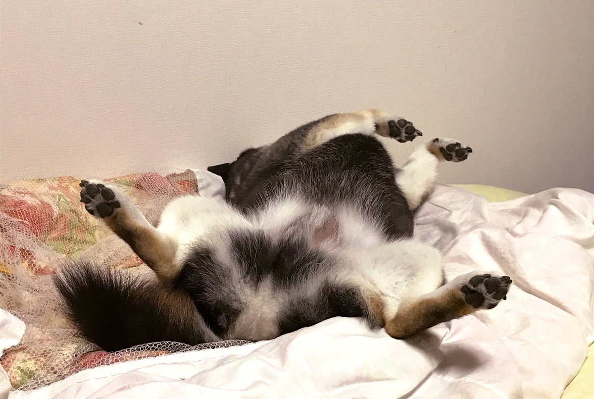 今日のうちの子
無防備どころの話じゃない 