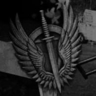 Who dares wins.