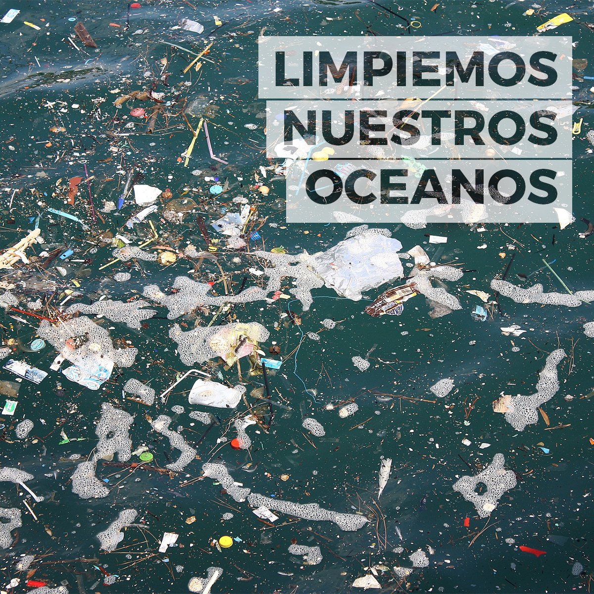 Arctic_crab's tweet photo. Today we celebrate #WorldOceansDay with a loud and clear message: Let’s keep our seas clean! 🚯 https://t.co/UShIBWdkvg