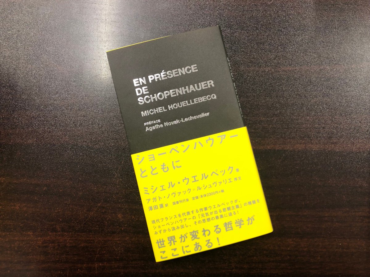 Images Of ミシェル ノバック Japaneseclass Jp Images Of ミシェル ノバック Japaneseclass Jp