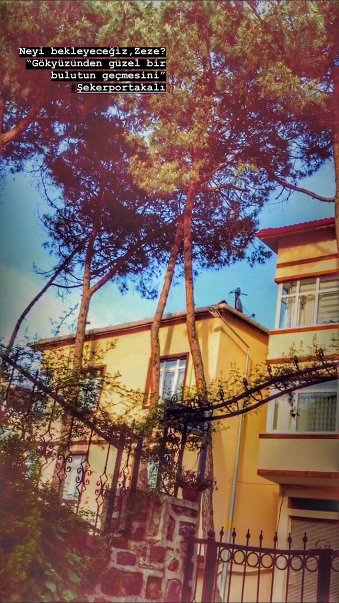 mevcutbiri's tweet photo. #şiirsokakta #kitapsahilde #kitaptavsiyesi #kitapyurdu #kitapkurdu #ŞairinAlfabesi #kitap #şekerportakalı https://t.co/6nw45vCpmF