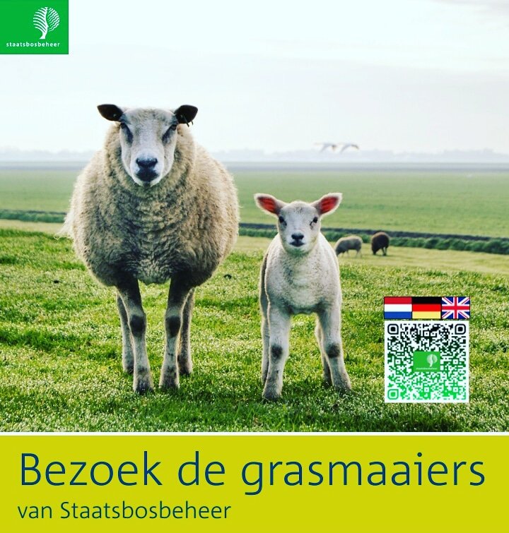 Morgen in de braakman boerderij! De grasmaaiers van Staatsbosbeheer krijgen hun onderhoudsbeurt. Kom je ook kijken? Meer info staatsbosbeheer.nl/activiteitenze…
