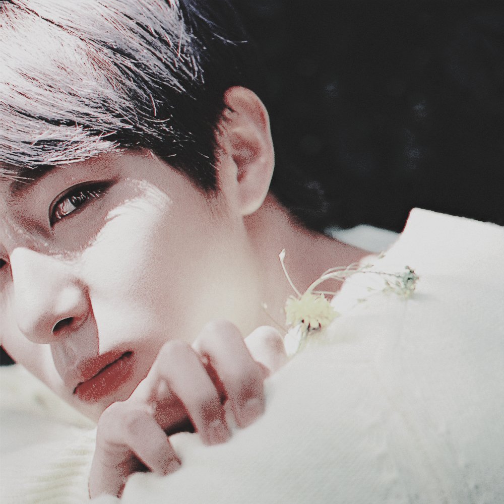 ‧°ʚ𝑫𝒎ɞ° ‧ tweet media