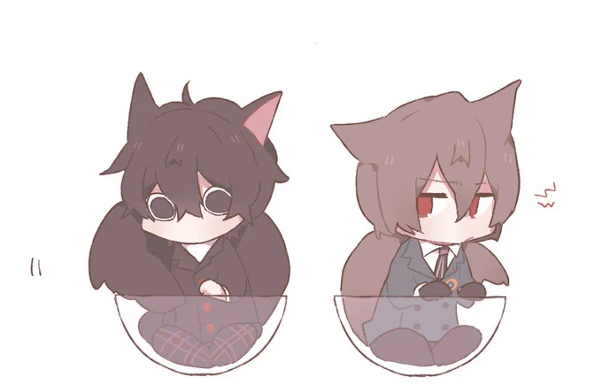 ニャ-ฅ( •ω•ฅ  ) 